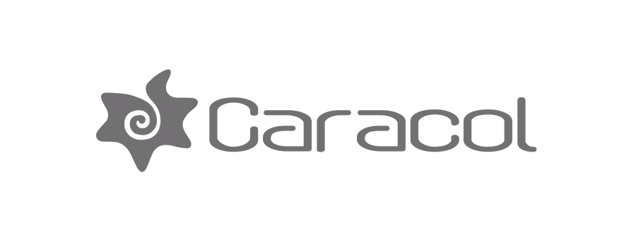 Caracol Logo Plano Moderno Logo Caracol Naranja Fruta Logo Modelo