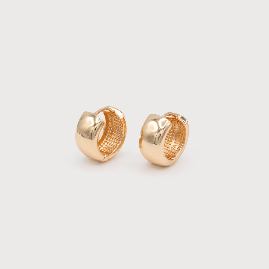 SMALL THICK HOOPS 2605-GLD
