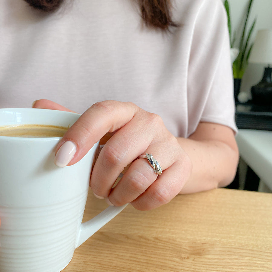 RING 4070-SLV